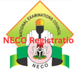 NECO Registration