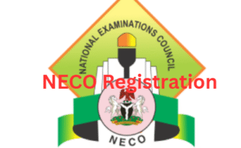 NECO Registration